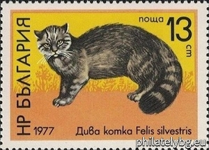 БК 2662