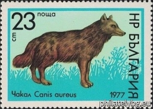 БК 2663