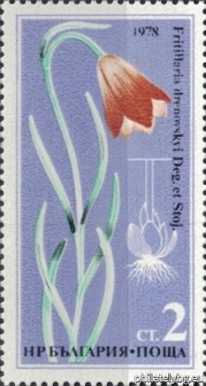 БК 2750