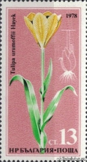 БК 2752