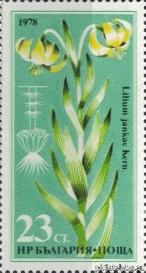 БК 2753