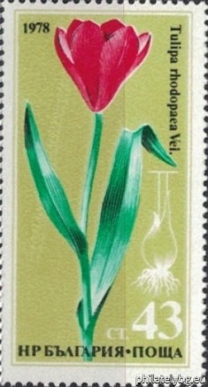 БК 2754