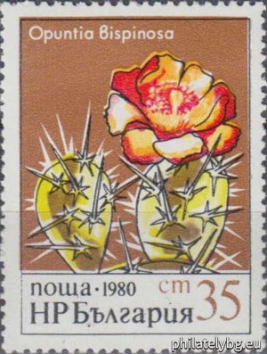 БК 3003