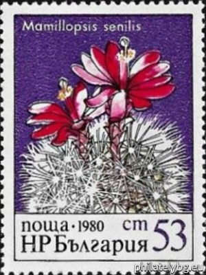 БК 3004