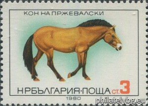 БК 3006