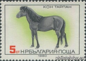 БК 3007