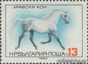 БК 3008