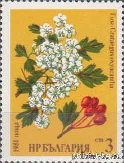 БК 3018