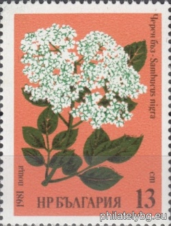 БК 3020