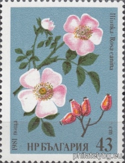 БК 3023