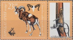 БК 3051