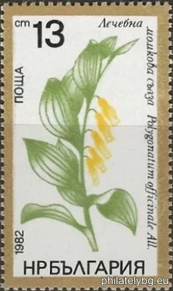 БК 3132