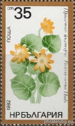 БК 3134