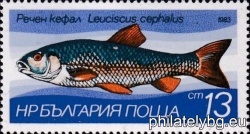 БК 3205