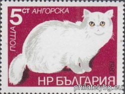 БК 3250