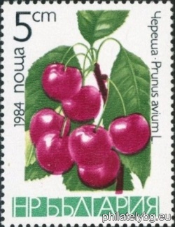 БК 3303