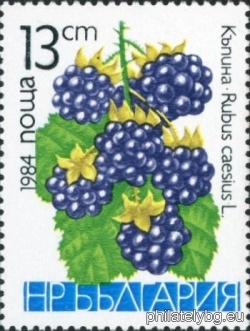 БК 3305