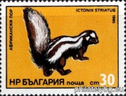 БК 3375