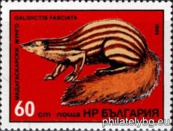 БК 3377