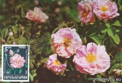 БК 3414