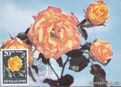 БК 3416