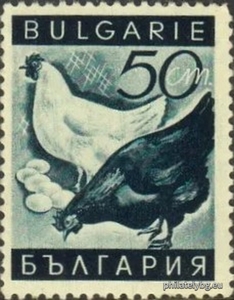 БК 344