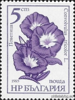 БК 3443