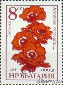 БК 3447