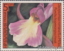 БК 3482