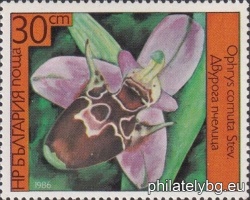 БК 3484