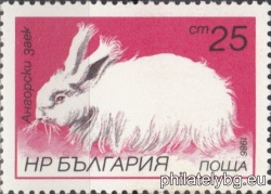 БК 3489