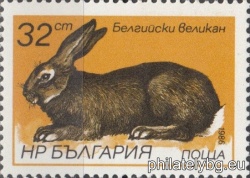 БК 3491