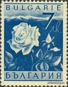 БК 354