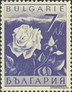 БК 355