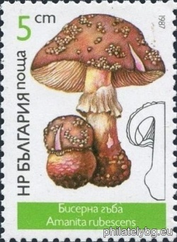 БК 3573