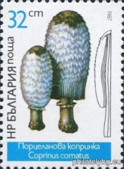 БК 3576