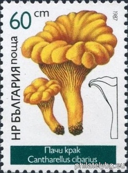 БК 3578
