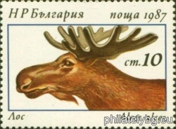 БК 3600