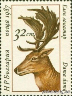 БК 3601