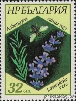 БК 3611