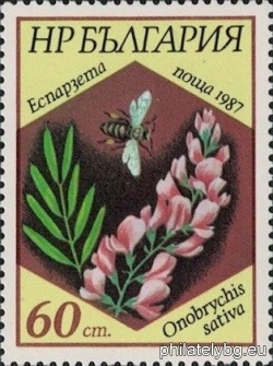 БК 3613