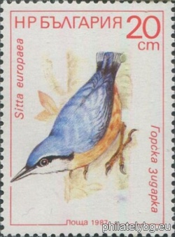 БК 3634
