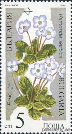 БК 3754