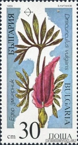 БК 3757