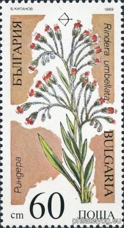 БК 3759