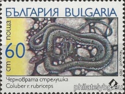 БК 3810