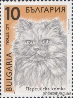 БК 3828