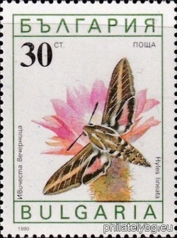 БК 3869