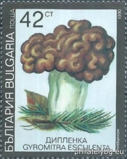 БК 3905