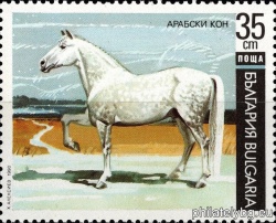 БК 3921